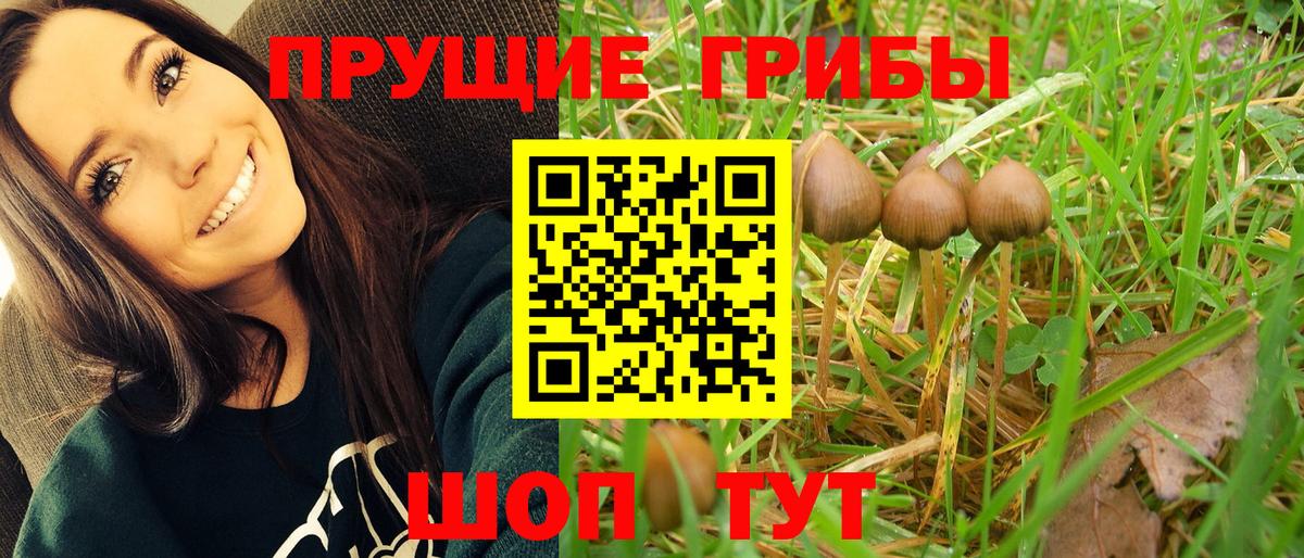 Галлюциногенные грибы Cubensis Южно-Сахалинск